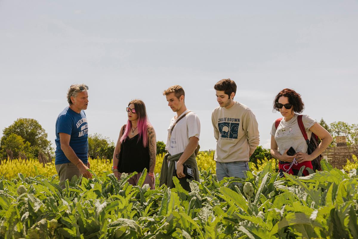 From the market garden to the table